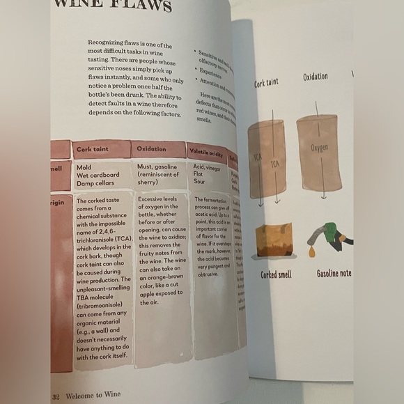 Welcome to Wine: An Illustrated Guide to All You Really Need to Know - Picture 3 of 6